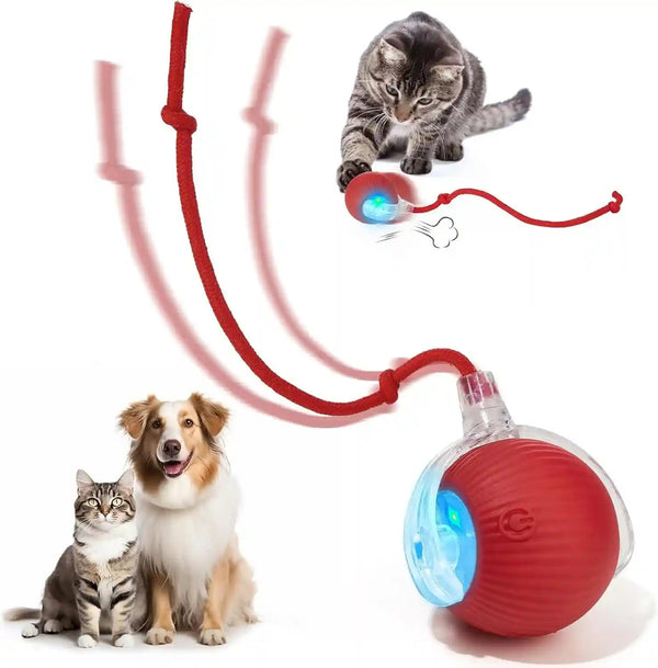 Interactive Dog & Cat Electric Active Toys, Smart Rolling Ball for Dogs & Cats, 360° Smart Automatic Rolling Pet Ball, Fast Moving Toy for Bored Indoor Kitty, Rechargeable(Red)1