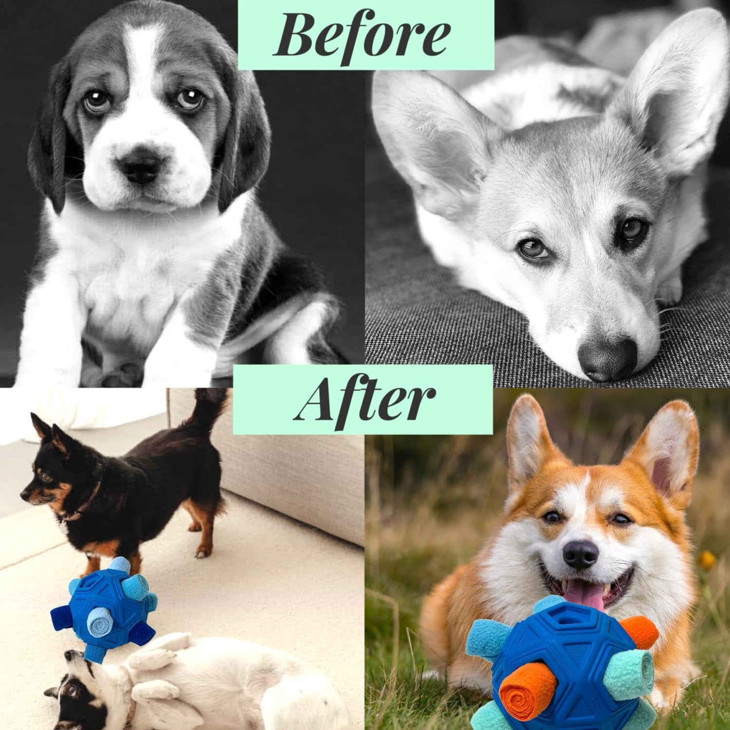 snuffle-ball-for-dog-toys-unbreakable-upgrade-ball-interactive-toy-foraging-snuffle-mat-puppy-treat-dispenser-slow-feeder-dog-puzzle-toys-for-small-medium-large-pets-blue
