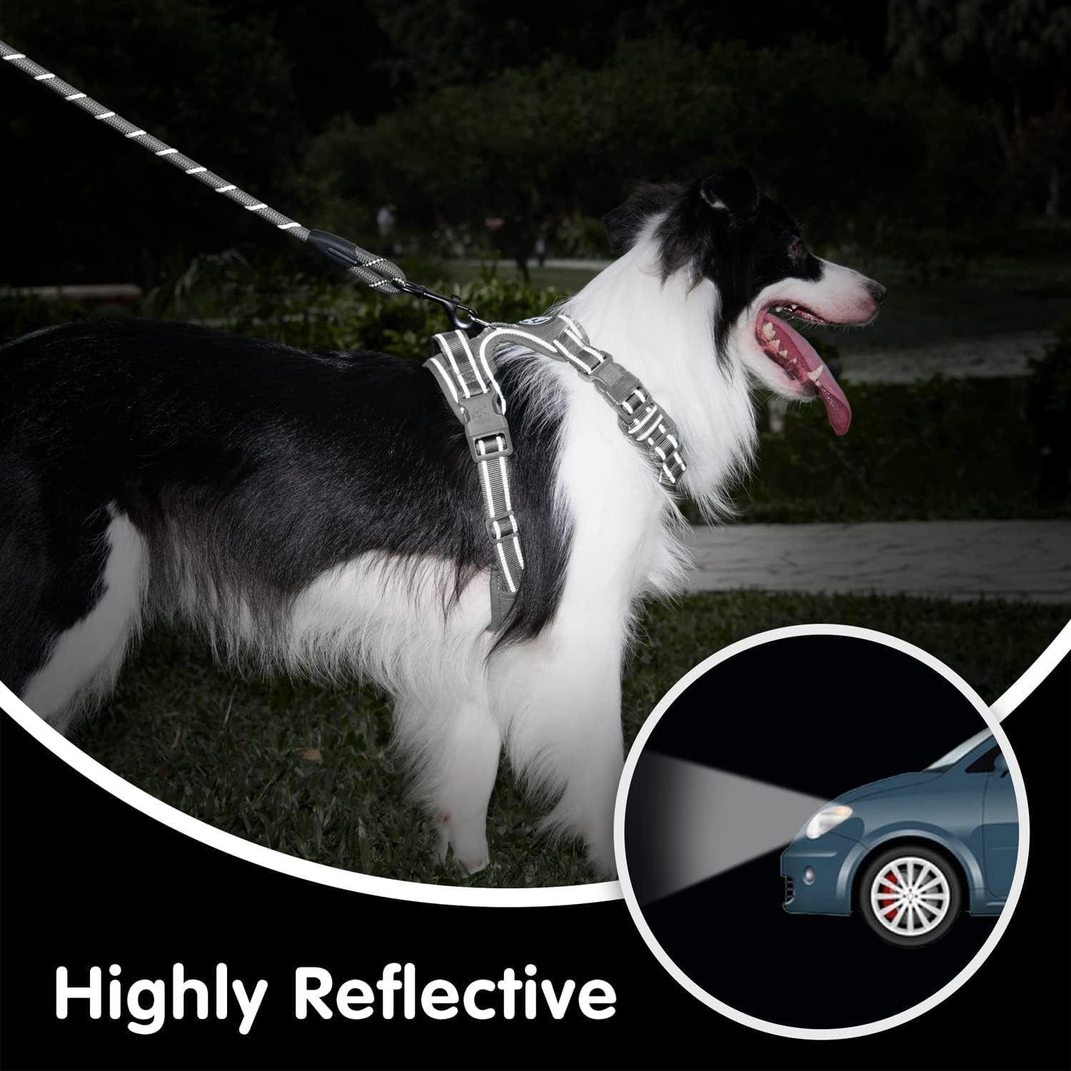 poypet-no-pull-dog-harness-and-5-feet-leash-set-release-on-neck-reflective-adjustable-pet-vest-front-back-2-d-ring-and-soft-padded-pet-harness-with-handle-for-small-to-large-dogsgrey-l