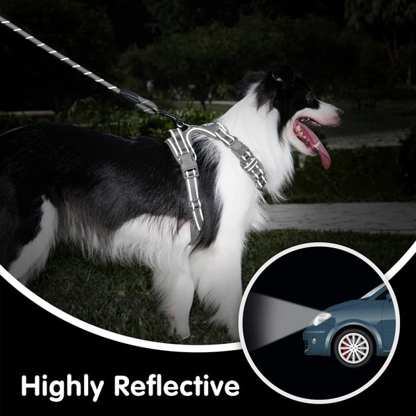 Poypet No Pull Dog Harness and 5 Feet Leash Set, Release on Neck Reflective Adjustable Pet Vest, Front & Back 2 D-Ring and Soft Padded Pet Harness with Handle for Small to Large Dogs(Grey,L)7