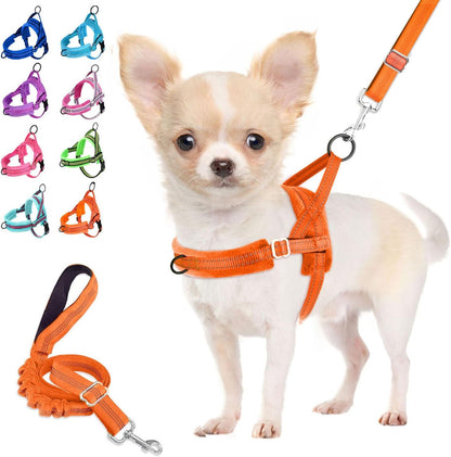 Lukovee No Pull Dog Harness and Leash Set, Soft Padded Small Dog Harness, Neck & Chest Adjustable Reflective Vest Puppy Harness with 4Ft Lightweight Anti-Twist Dog Leash for Small Dogs (XS, Blue)12