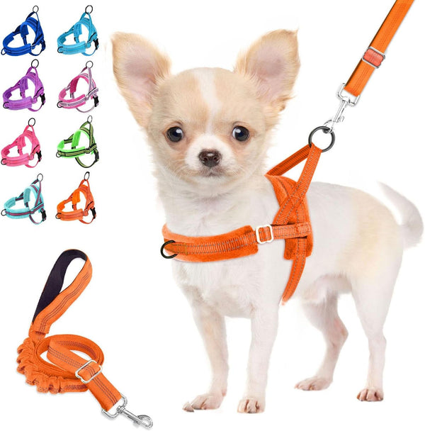 Lukovee No Pull Dog Harness and Leash Set, Soft Padded Small Dog Harness, Neck & Chest Adjustable Reflective Vest Puppy Harness with 4Ft Lightweight Anti-Twist Dog Leash for Small Dogs (XS, Blue)12