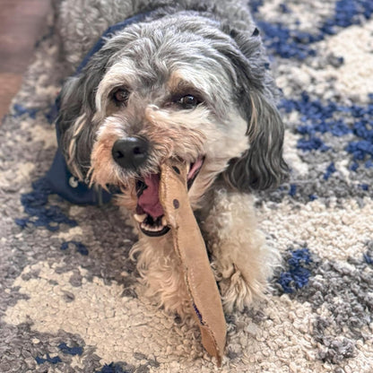SPOT Dura-Fused Leather Squirrel Dog Toy – Real Leather & Jute Fabric, Double-Stitched & Durable, Soft Stuffed Squeaky Interactive Chew Toy for Moderate Chewers, Small & Medium Dogs, 8In14