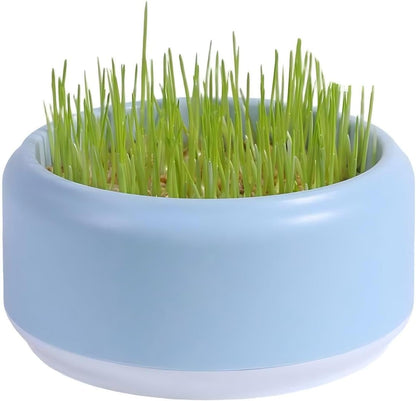 Komorebi Cat-Specific Reusable Hydroponic Herb Growing Box Set-Easy to Use-3 Colour (Seeds Not Included) (Green)10