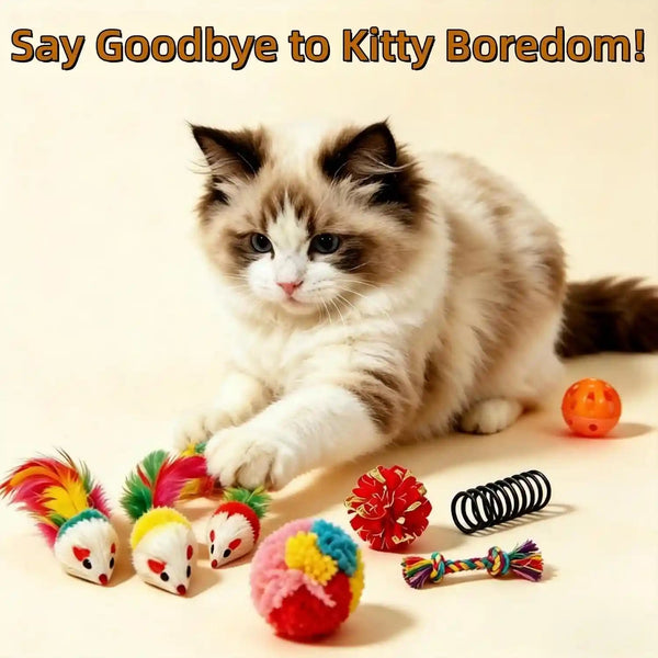 46 PCS Cat Toys for Indoor Cats, Kitten Toys with Cat Spring Toy, Mint Catnip with Crinkle Mouse Ball for Indoor Cats Kittens Exercise3