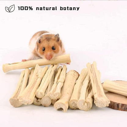 2Lb Sweet Bamboo Chew Sticks for Rabbits & Guinea Pigs - Natural Molar Teething Treats, 60-75 Sticks, Dental Grinding Toys for Hamsters, Chinchillas, Rats & Small Animals3