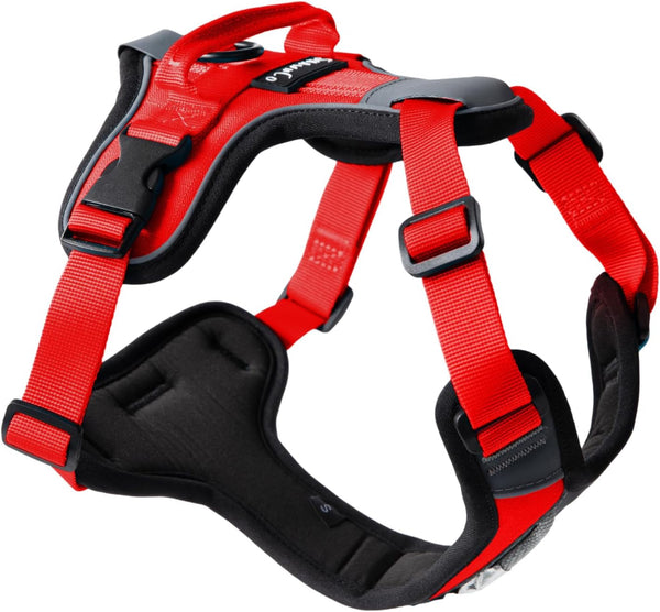 Shawnco Basecamp Dog Harness, No-Pull Pet Vest with 3 Leash Clips, Padded, Reflective, Lightweight and Adjustable Harness with Handle for Small, Medium and Large Dogs (ICY Lilac, M)7