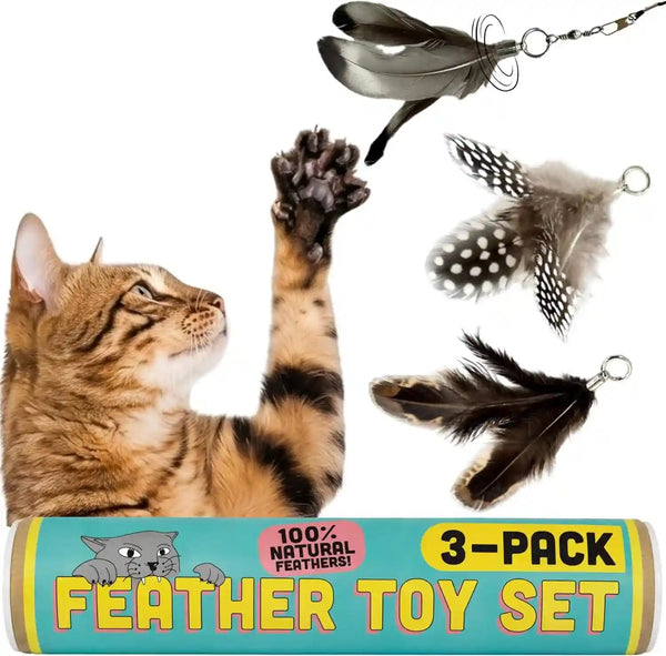 Cat Feather Toy Refill 3-Pack - Natural Feather Cat Toy - Small Size Cat Wand Attachments - Official Cat Toy Feather Replacement for Forever Stick Cat Wand Toy - Cat Wand Refill - Cat Lure and Teaser1