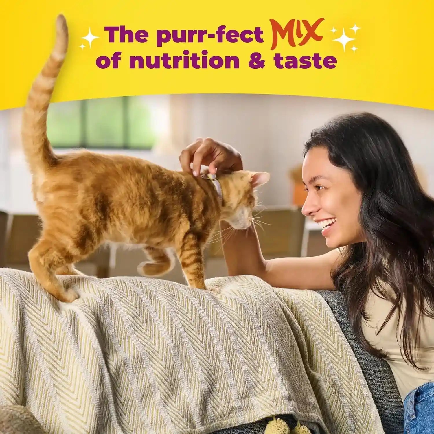 meow-mix-tender-centers-salmon-white-meat-chicken-flavors-dry-cat-food-20-lb-bag-dry-cat-food-with-two-texture-kibble-meaty-center-surrounded-by-a-crunchy-outer-layer-complete-and-balanced-nutrition