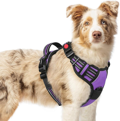 Rabbitgoo Dog Harness Medium Sized, Updated Easy on & off with 3 Buckles | No Pull No Choke, Walking with 2 Clips and Handle, Adjustable Soft Reflective, Blue, Medium52