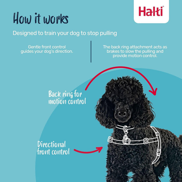 Halti Front Control Harness - Stop Your Dog Pulling on the Leash. Adjustable, Lightweight and Easy to Use. Anti-Pull Dog Training Harness for Medium Dogs (Size M) | Dog Harness to Stop Pulling on the Leash | Anti-Pull Training Aid | Front Leading No Pull Harness for Medium Dogs2