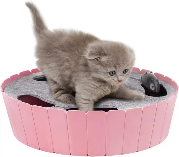 Pawaboo Interactive Cat Toy with Running Mouse, Electronic Motion Cat Toy Automatic Teaser for Indoor Cats, Pop and Play Hide Seek Cat Toys Hunting Mouse for Pet Cat Kitten Play Fun Exercise, Green11