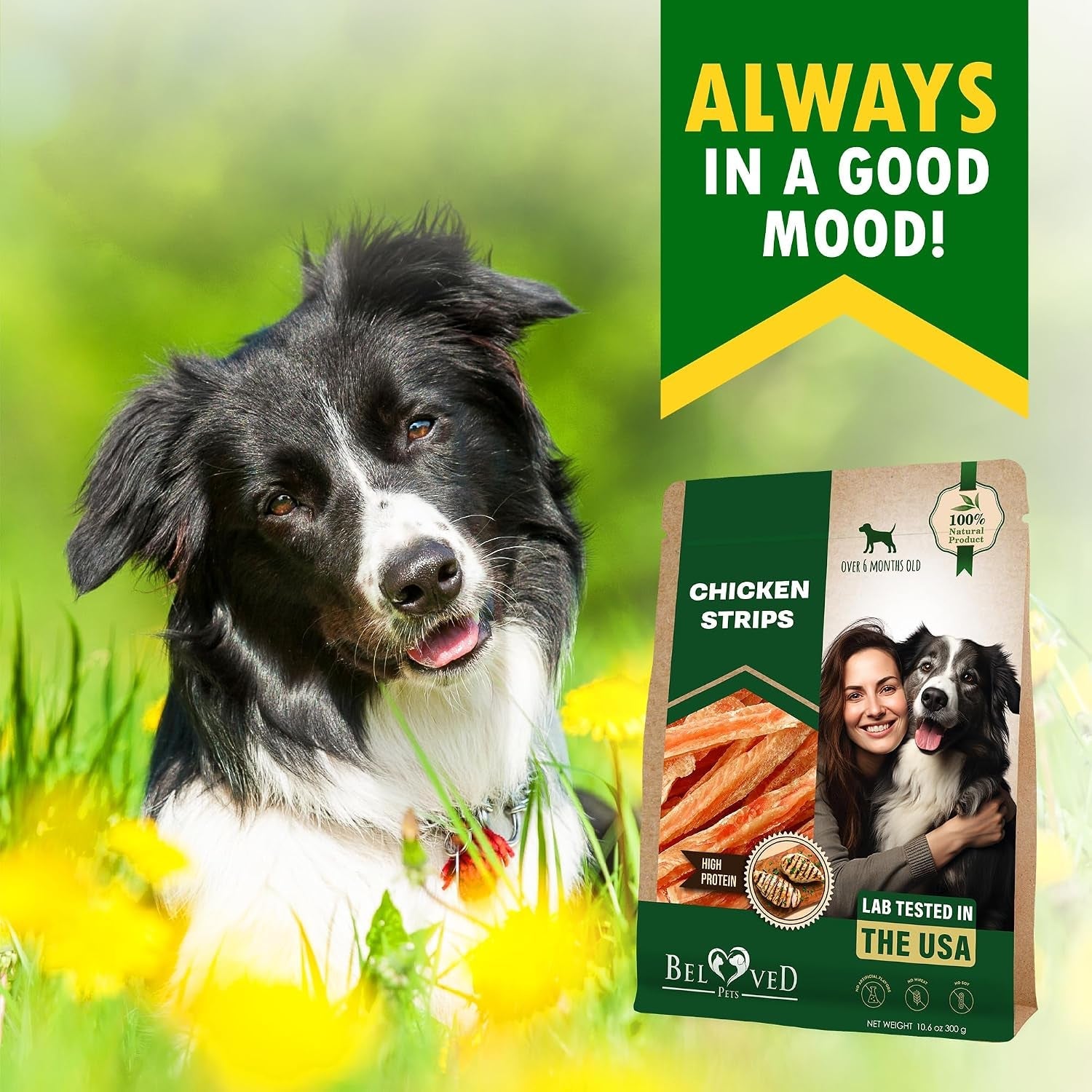 beloved-pets-dog-chicken-treats-jerky-strips-10-6-oz-human-grade-meat-sticks-natural-pet-dried-snacks-rawhide-free-long-lasting-chews-for-large-small-dogs