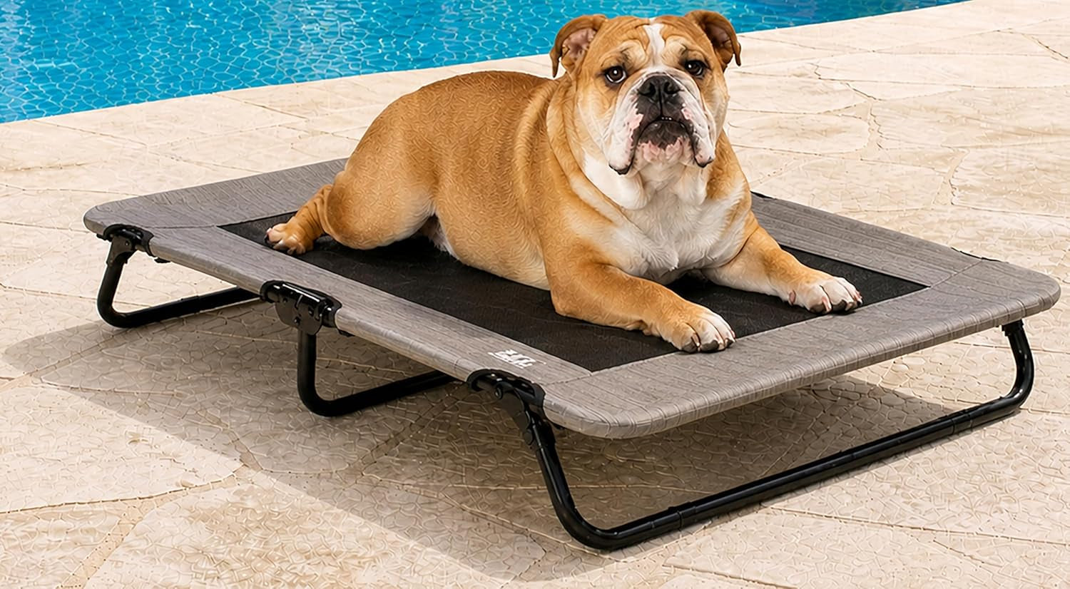 pet-gear-lifestyle-pet-cot-elevated-bed-30-inch-caribbean-ocean-no-assembly-required-premium-tear-resistant-cooling-mesh-indoor-outdoor-lightweight-portable