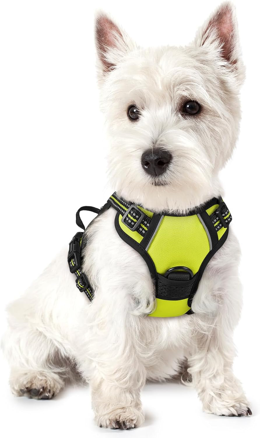 rabbitgoo-dog-harness-no-pull-for-large-dogs-with-2-leash-clips-pet-vest-no-choke-with-handle-adjustable-soft-padded-reflective-easy-control-for-walking-black-large
