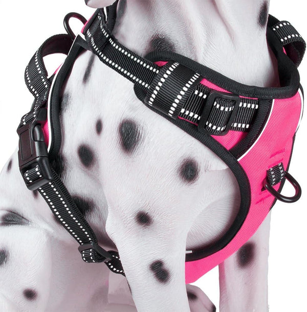 Poypet No Pull Dog Harness, Reflective Comfortable Vest Harness with Front & Back 2 Leash Attachments and Easy Control Handle Adjustable Soft Padded Pet Vest for Small Medium Large Dogs (Mint Blue,M)12