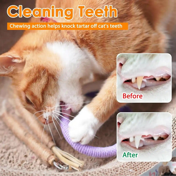 Tocirelo Cat Chew Rope Toy - 6Pack Cotton Cat Chew Toy for Teeth Cleaning, Interactive Kitten Teething Toys to Redirect Chewing from Cord, Cat Nip String Dental Toys for Bored Indoor Cats, 19.7Inch3