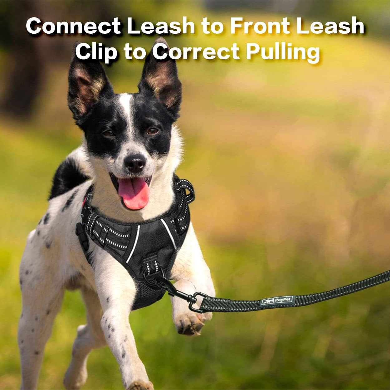 poypet-no-pull-dog-harness-no-choke-front-clip-reflective-dog-vest-with-soft-padded-vertical-handle-3-leash-attachments-for-small-medium-large-dogs-black-xl