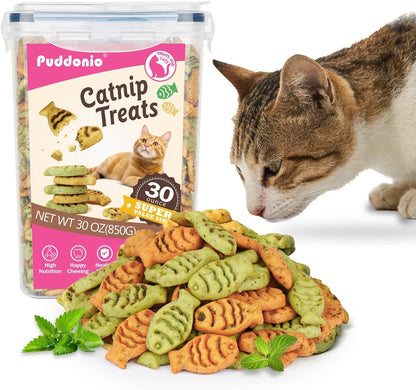 Catnip Cat Treats, Chicken & Salmon Flavor, Crunchy Bites, 16 Oz | Catnip-Infused Fish-Shaped Biscuits with Chicken and Salmon Flavors, Made for Training, Rewarding, and Everyday Bonding9