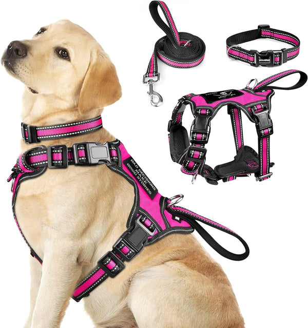 WINSEE Pet Harness Collar and Leash Set, All-In-One Reflective Dog Harness No Pull with Adjustable Buckles for Puppies, Small, Medium, Large, and Extra-Large Dogs (Large, Pink)15