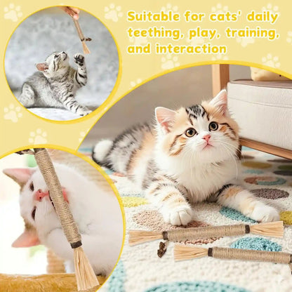9 Pack Silvervine Sticks for Cats, Natural Cat Chew Stick Toys Set | Matatabi Dental Care Cat Treat for Indoor Cats/Kittens Dental Care Teeth Cleaning/Play6