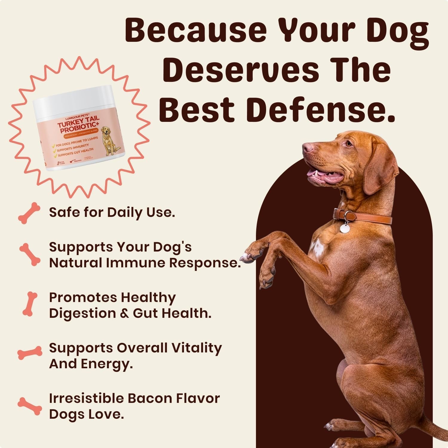turkey-tail-mushroom-for-dogs-turkey-tail-mushroom-powder-with-probiotics-for-immune-and-digestive-support-supports-lumps-and-bumps-bacon-flavored-daily-dog-supplement