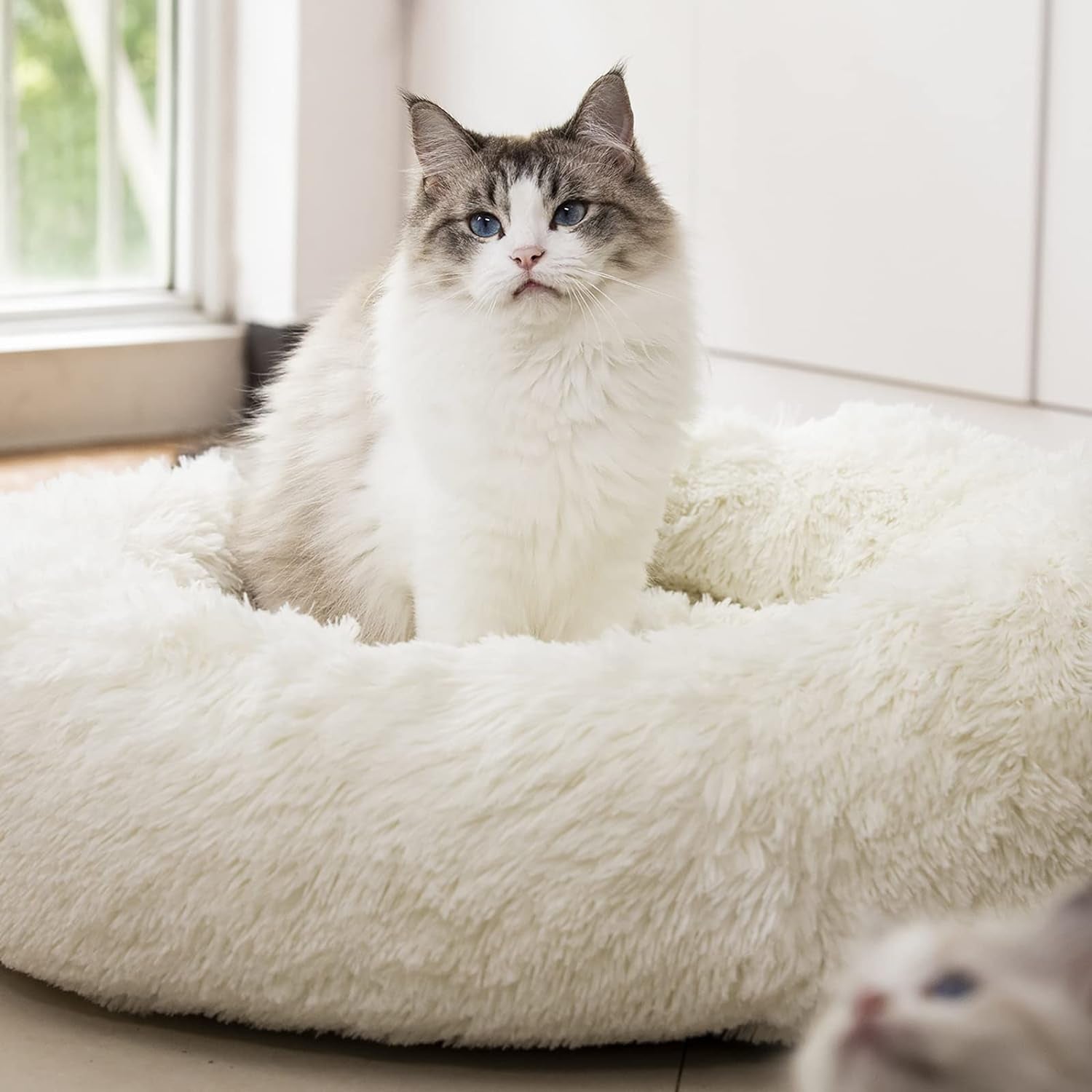 anti-anxiety-round-fluffy-plush-faux-fur-warm-washable-dog-bed-cat-bed-original-bed-for-small-medium-large-pets-used-to-relieve-joints-and-improve-sleep-20-24-27-24-light-grey
