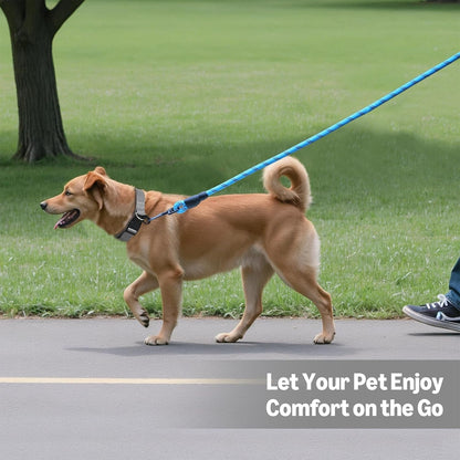 Amazon Basics round Dog Leash, Heavy Duty, Durable Rope for Small, Medium, and Large Dogs, Lightweight Design for Walking, Training, and Outdoor Activities, Blue, 6 Ft4