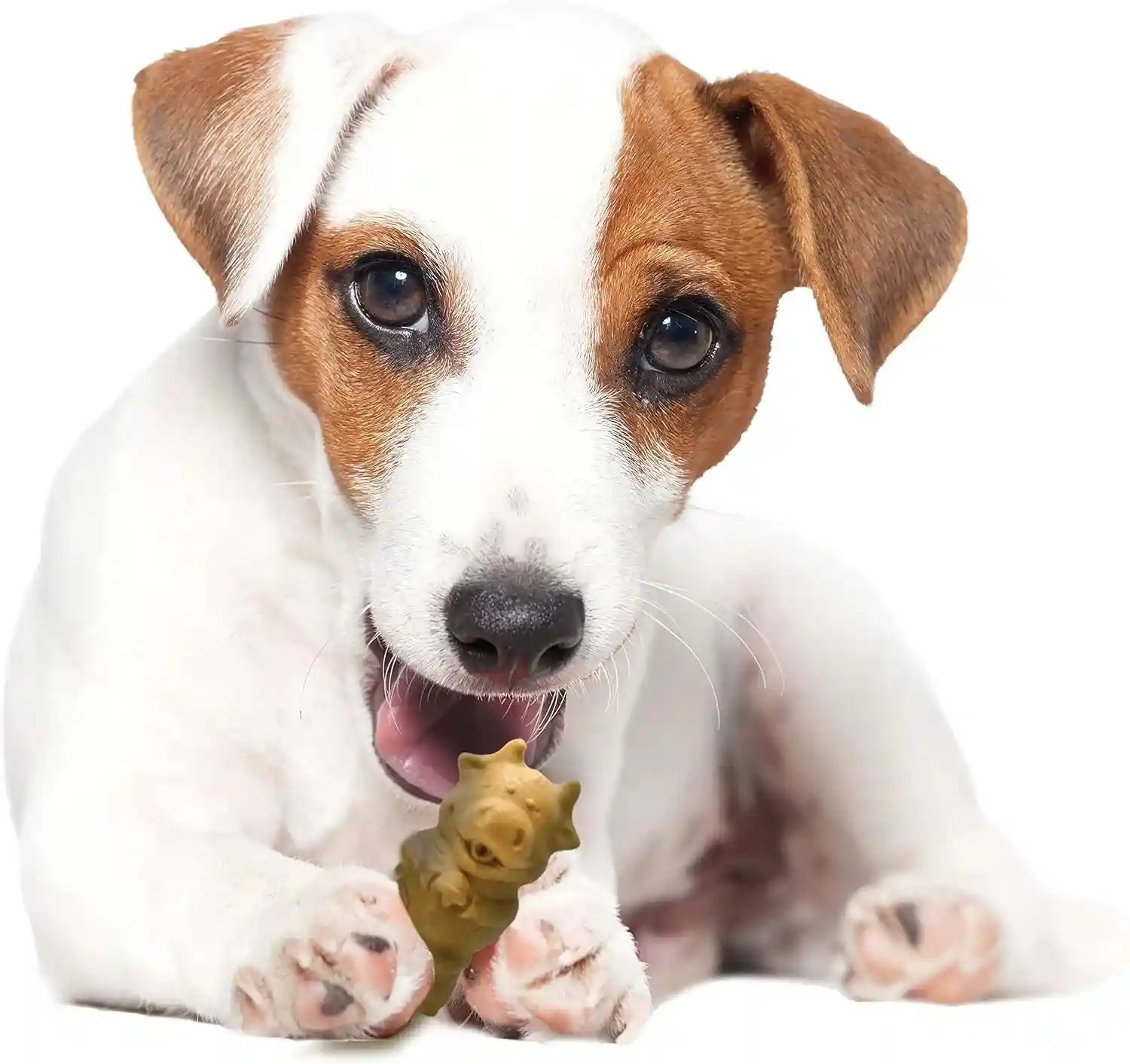 nylabone-healthy-edibles-puppy-dog-treats-lamb-apple-flavor-12-count-natural-puppy-treats-usa-made-highly-digestible-vet-recommended-small-dog-treats-for-puppies-up-to-25-lbs