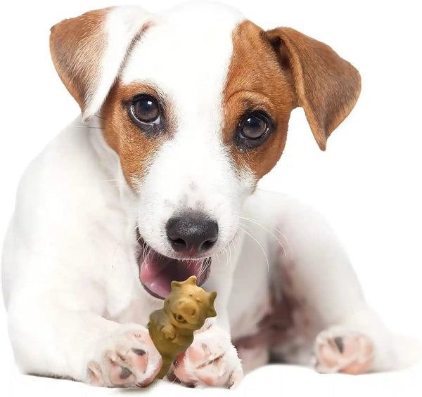 Nylabone Healthy Edibles Puppy Dog Treats, Lamb & Apple Flavor, 12 Count | Natural Puppy Treats, USA Made, Highly Digestible, Vet Recommended, Small Dog Treats for Puppies up to 25 Lbs10