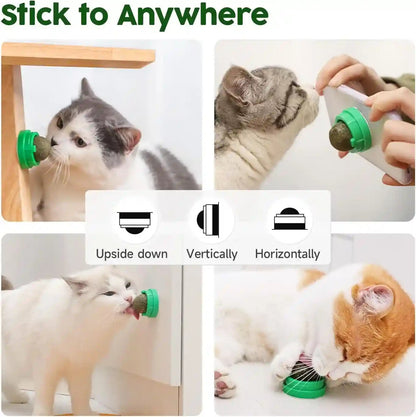 Potaroma Catnip Toys Balls 4 Pcs with Extra Cat Energy Ball | Edible Kitten Catnip Silvervine Toys for Cats Lick, Healthy Kitty Teeth Cleaning Dental Chew Toys, Cat Wall Treats (Green)6