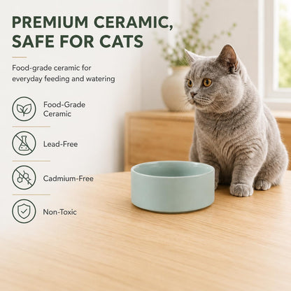 Havniva Cat Bowls Set of Two, 5.1” Ceramic Cat Food and Water Bowls | Cat Food Bowls Whisker Friendly, Non-Slip Base, Food-Grade Ceramic, Wide Opening, Dishwasher Safe, Cat Bowls for Indoor Cats4