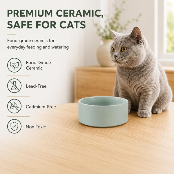 Havniva Cat Bowls Set of Two, 5.1” Ceramic Cat Food and Water Bowls | Cat Food Bowls Whisker Friendly, Non-Slip Base, Food-Grade Ceramic, Wide Opening, Dishwasher Safe, Cat Bowls for Indoor Cats4