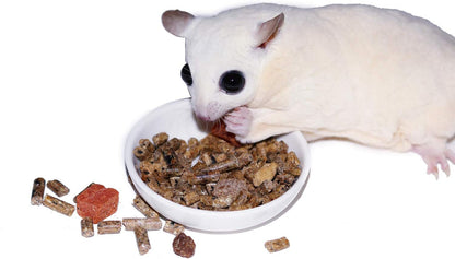 Glider Complete - Healthy High Protein Nutritionally Complete Staple Diet Sugar Glider Food (2 Lb)4