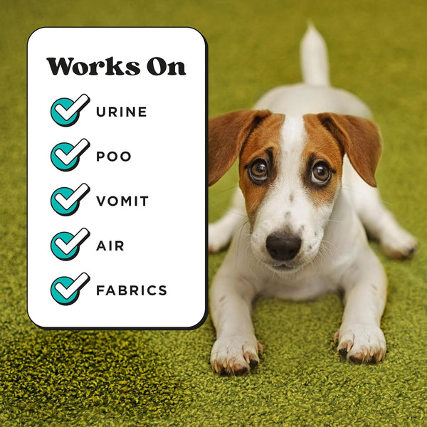 Pet-Pourri Pawsitively Fresh Pet Odor Deodorizer Spray, 16 Fl Oz, up to 800 Uses, Air + Fabric Odor Remover with Essential Oils & Plant Based Ingredients, Vet Recommended, Pineapple, Jasmine & Pear7