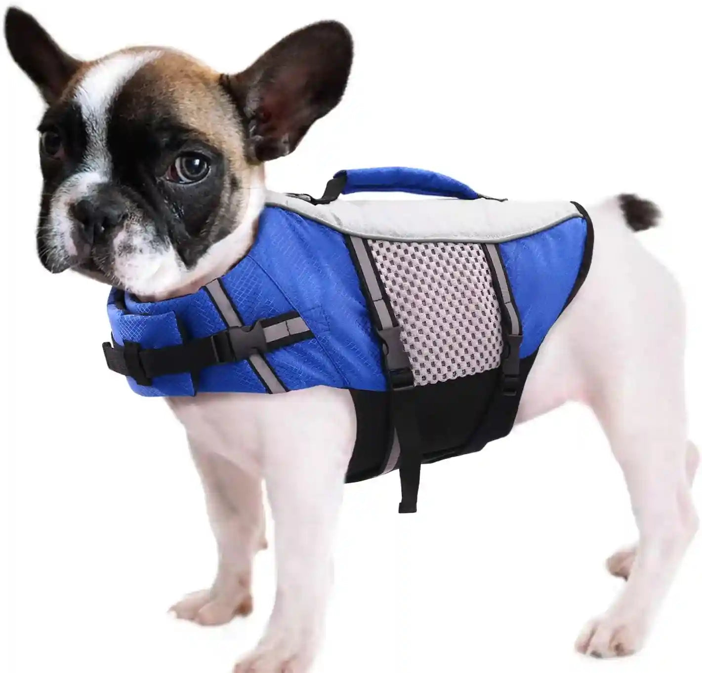 queenmore-dog-life-jacket-small-float-vests-for-swimming-boating-kayaking-mediumn-puppy-dogs-cats-neoprene-life-preserver-pet-water-lifesaver-lightweight-reflective-green-l
