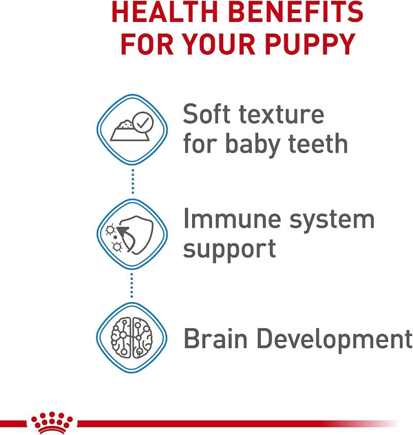 ROYAL CANIN Size Health Nutrition X-Small Puppy Thin Slices in Gravy Dog Food, 3 Oz (Pack of 12)5