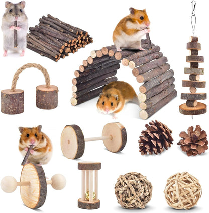 ERKOON 11 Pack Chinchillas Chew Toys, Toys Accessories for Teeth Care, Natural Apple Wood Ladder Bell Roller for Russian Hamster Gerbils Rats Guinea Pigs (11PCS)1