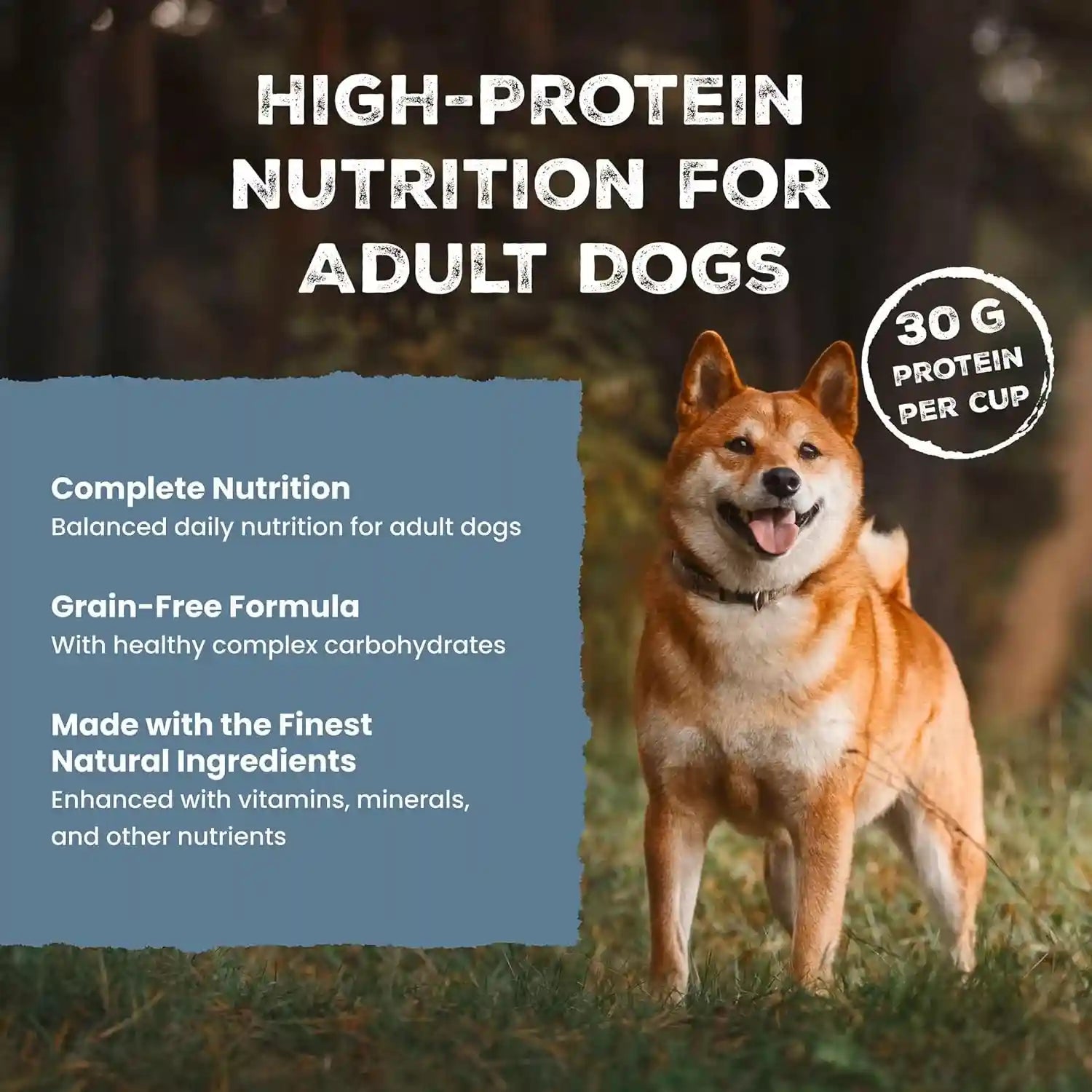 blue-buffalo-wilderness-grain-free-adult-wet-dog-food-wolf-creek-stew-with-hearty-beef-30g-protein-per-can-12-5-oz-can-pack-of-12