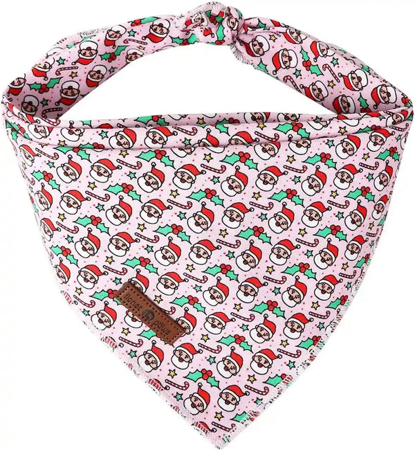 Lionet Paws Dog Bandana for Small Medium Large Dogs, Cat Kerchief Blue DOIT, Triangle Bibs Scarf for Girl or Boy13
