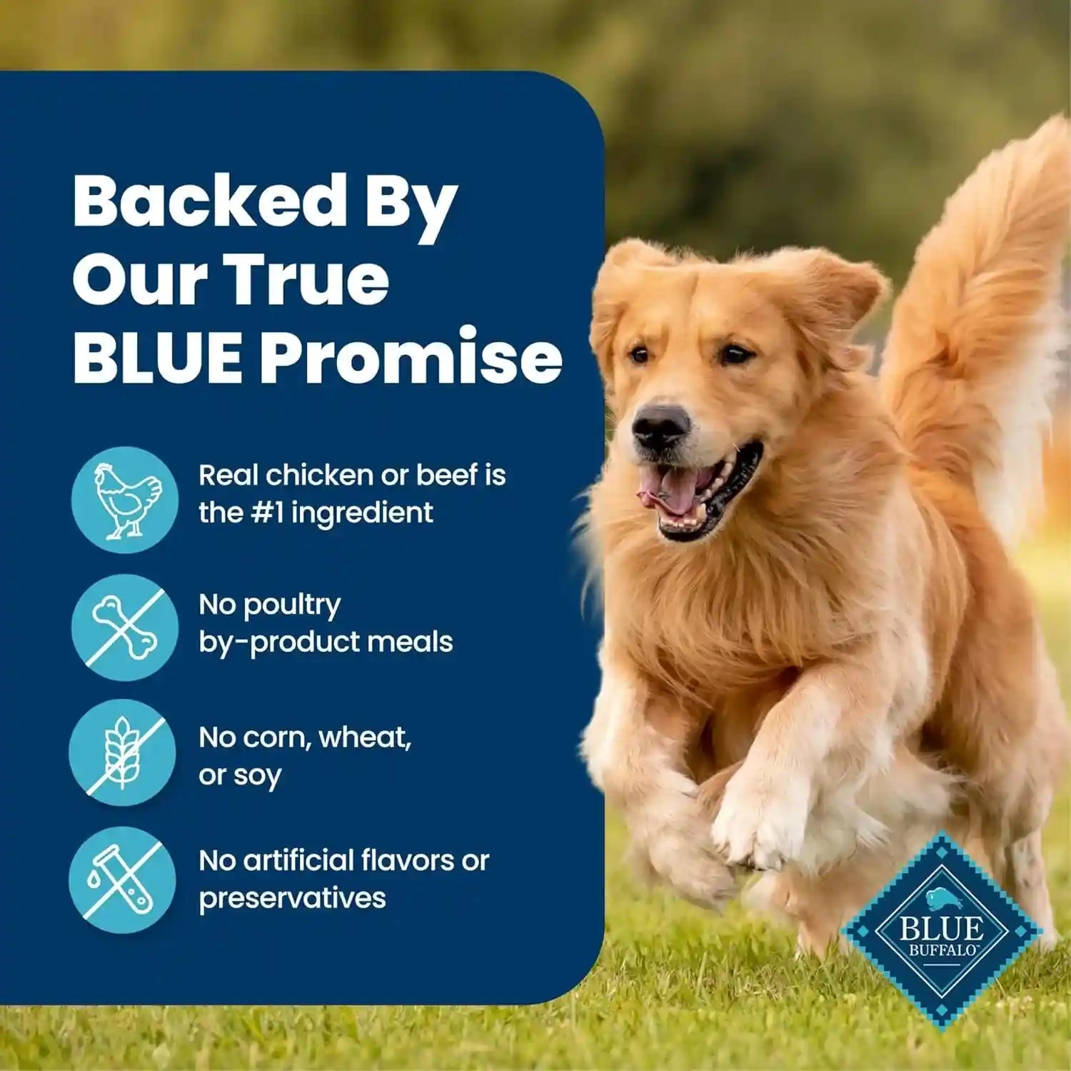 blue-buffalo-homestyle-recipe-wet-dog-food-pate-variety-pack-chicken-dinner-beef-dinner-with-garden-vegetables-made-with-natural-ingredients-12-5-oz-can-6-count-3-of-each