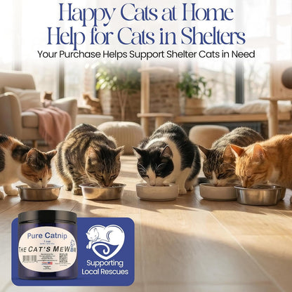 The Cat'S Mewow 100% Pure Catnip – North American Grown – Strong Aroma for Play & Enrichment – Resealable Freshness Jar – Veteran-Owned Brand6