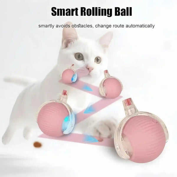 Interactive Dog Cat Toy Ball, Upgraded Rechargable Rolling Pet Ball with 2 Tails, Smart Automatic Moving Toy for Bored Indoor Kitty Puppy -Pink6