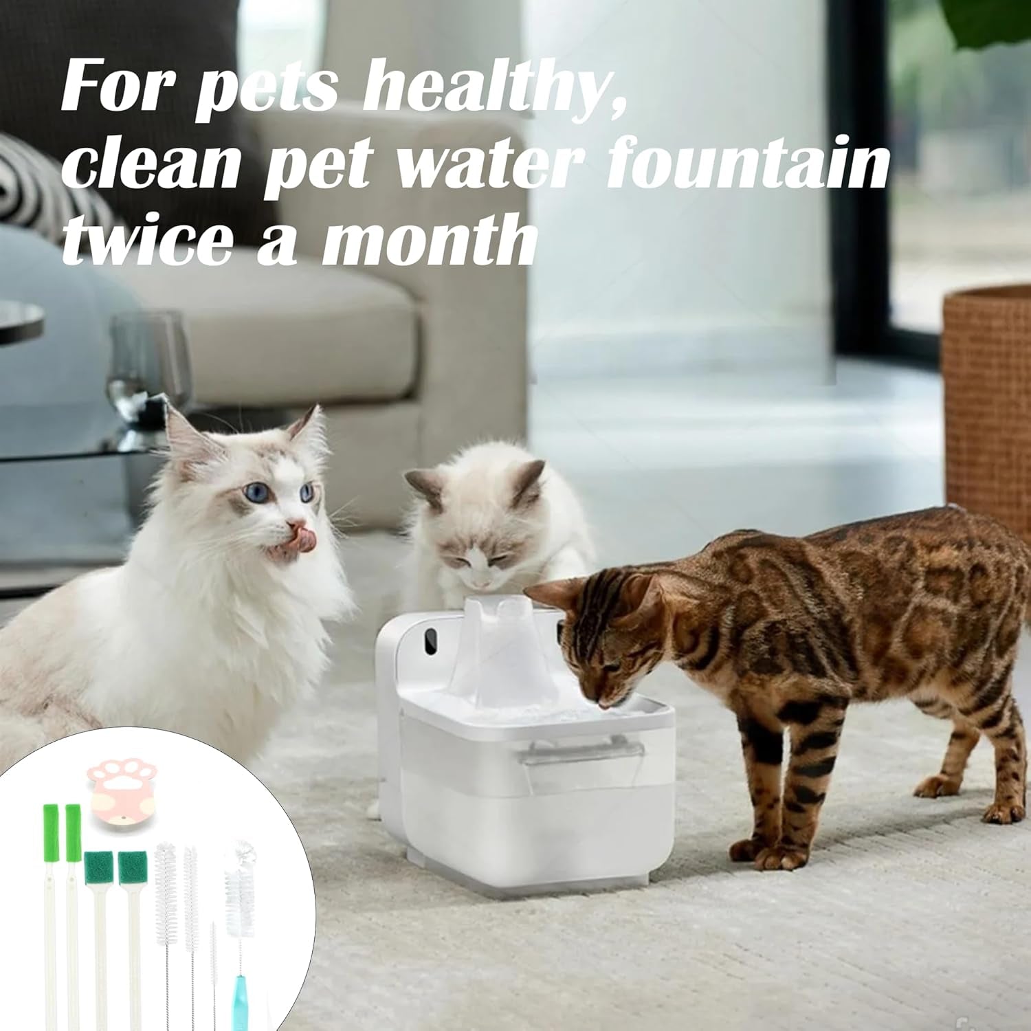 9pcs-pet-water-fountain-cleaning-kit-with-compressed-sponge-and-storage-box-dog-and-cat-water-fountain-brushes-fit-most-pet-water-dispensers-pet-drinking-dispenser-cleaning-kit-cleaning-brush