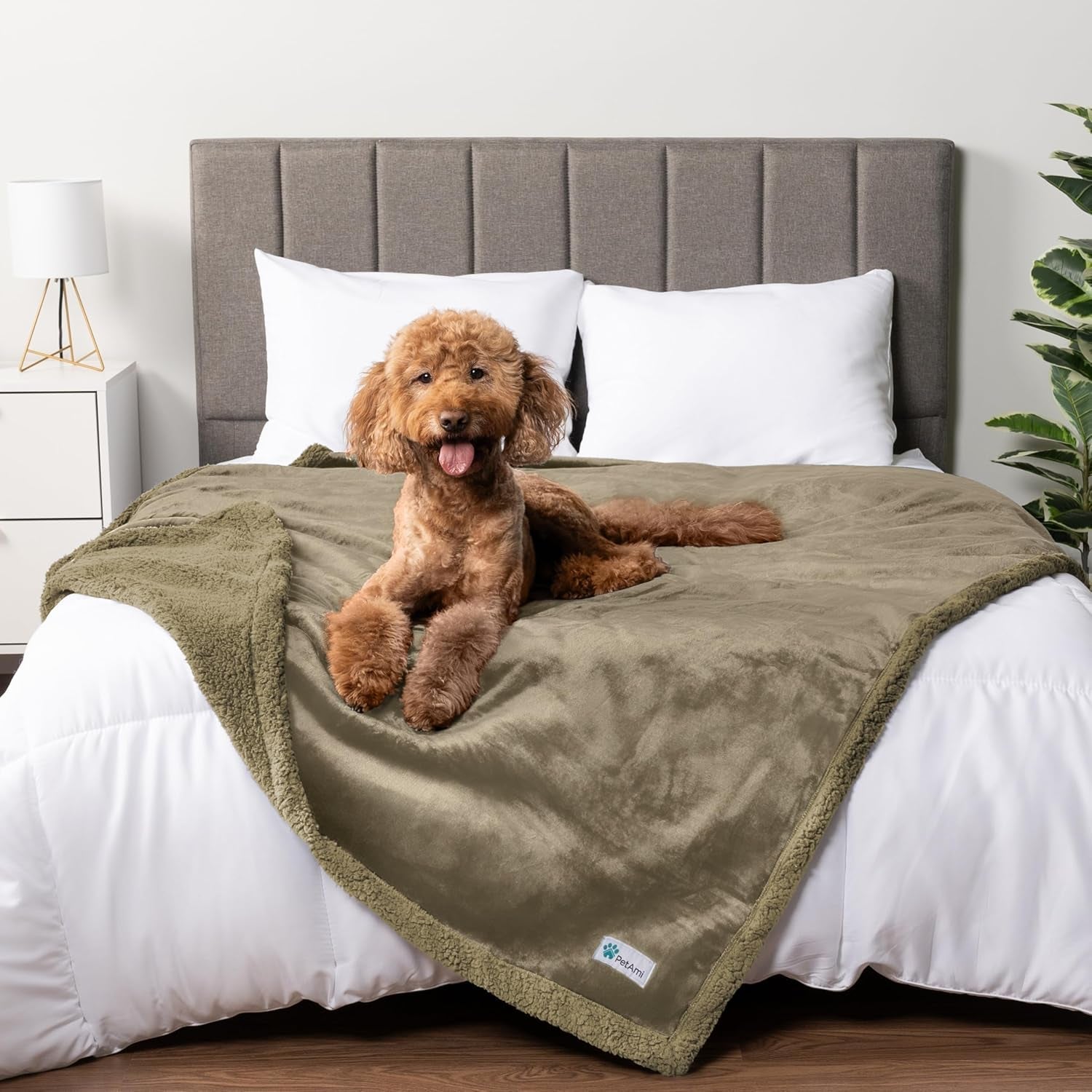petami-waterproof-dog-blanket-for-couch-extra-large-80x60-pee-proof-sherpa-fleece-reversible-pet-throw-furniture-protector-for-bed-sofa-crate-kennel-soft-washable-cover-for-dog-cat-grey-sherpa