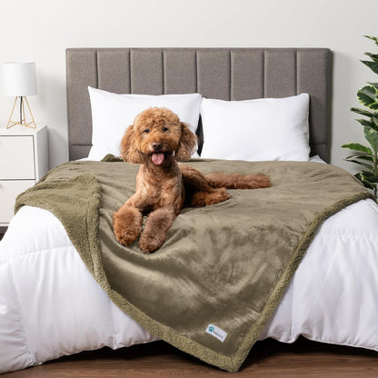 Petami Waterproof Dog Blanket for Couch, Extra Large 80X60, Pee Proof Sherpa Fleece Reversible Pet Throw, Furniture Protector for Bed Sofa Crate Kennel, Soft Washable Cover for Dog Cat, Grey Sherpa28