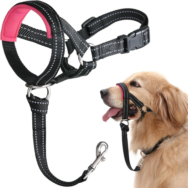 BARKLESS Dog Head Collar, No Pull Training Collar with Soft Padding | Reflective Head Halter for Large Dogs, Labrador, Controls Pulling and Lunging with Secure Safety Strap for Daily Walks8