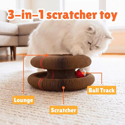 KITTY KURLZ Interactive Cat Toy & Cardboard Cat Scratcher | Collapsible Ball Track with Bell, for Indoor Cats, Reversible Scratch Ring, Play, Chase and Lounge3