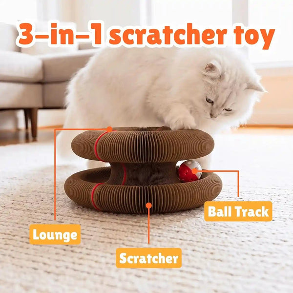 KITTY KURLZ Interactive Cat Toy & Cardboard Cat Scratcher | Collapsible Ball Track with Bell, for Indoor Cats, Reversible Scratch Ring, Play, Chase and Lounge3
