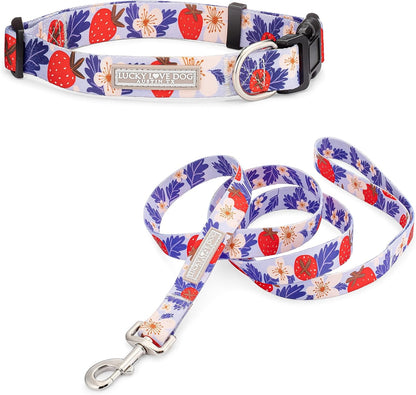 Lucky Love Dog - Easy Click Buckle Dog Collar with Leash Set Combo, Durable & Comfortable for Male & Female Dogs, Pet Collar for Medium Dogs, Secure Fit - Blackbird Combo, Medium58